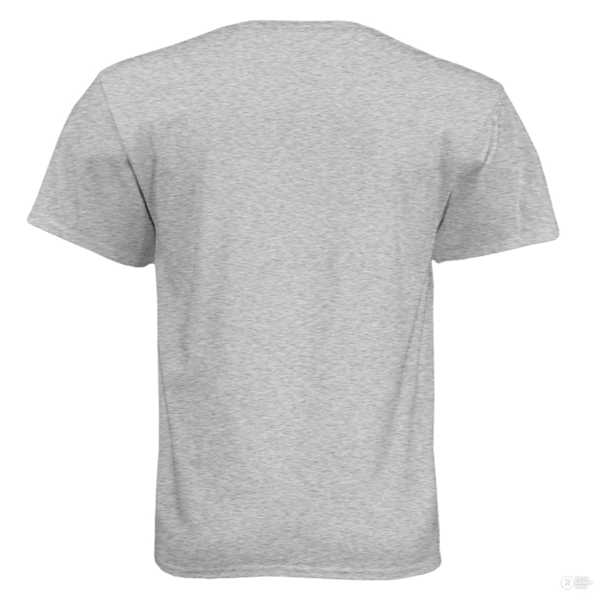 Beard Famous Hanes Tee Shirt For Bearded Guys LIGHT STEEL - BACK