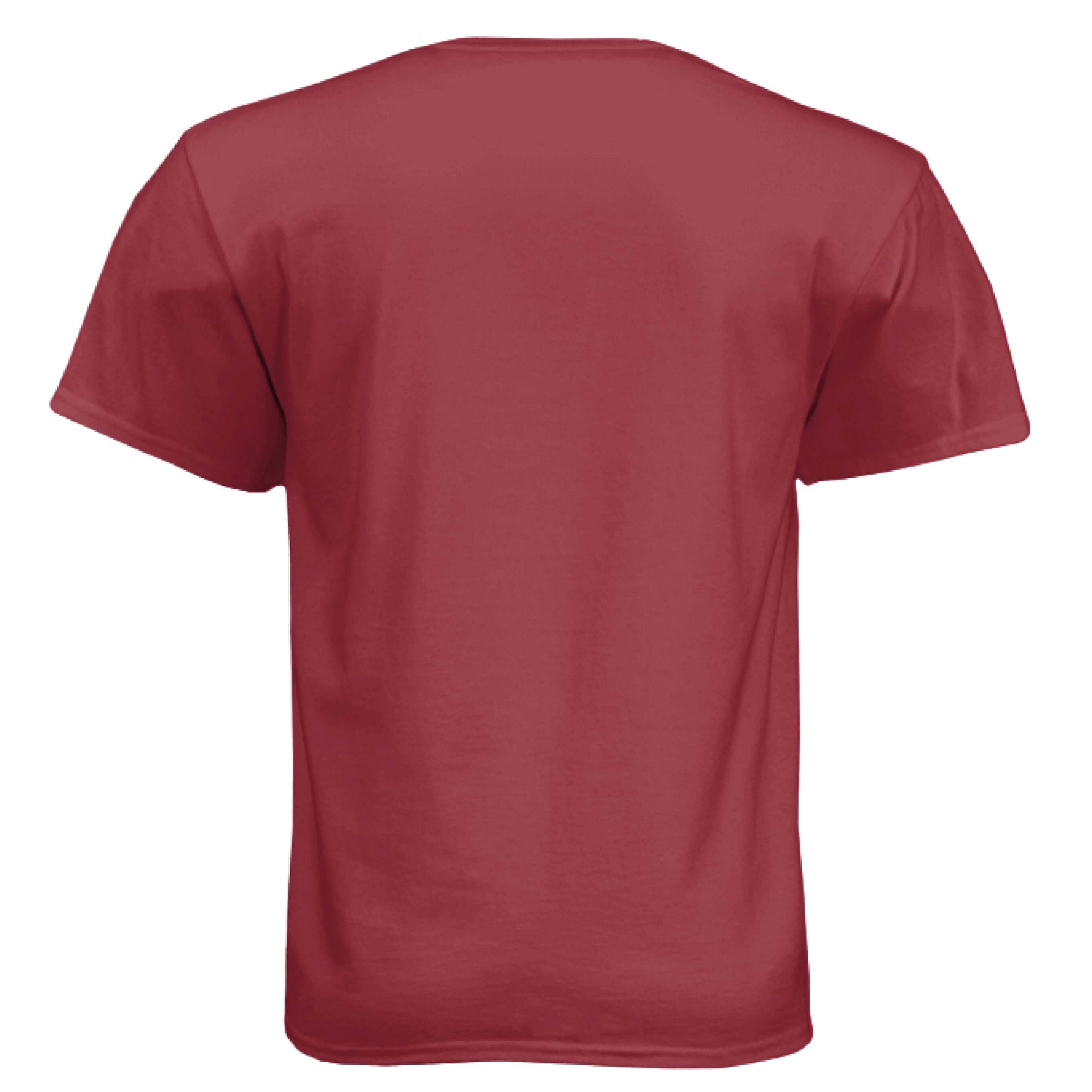 South Carolina Bearded Skull Tee – Palmetto Pride for the Bearded Brotherhood Athletic Cardinal - BACK