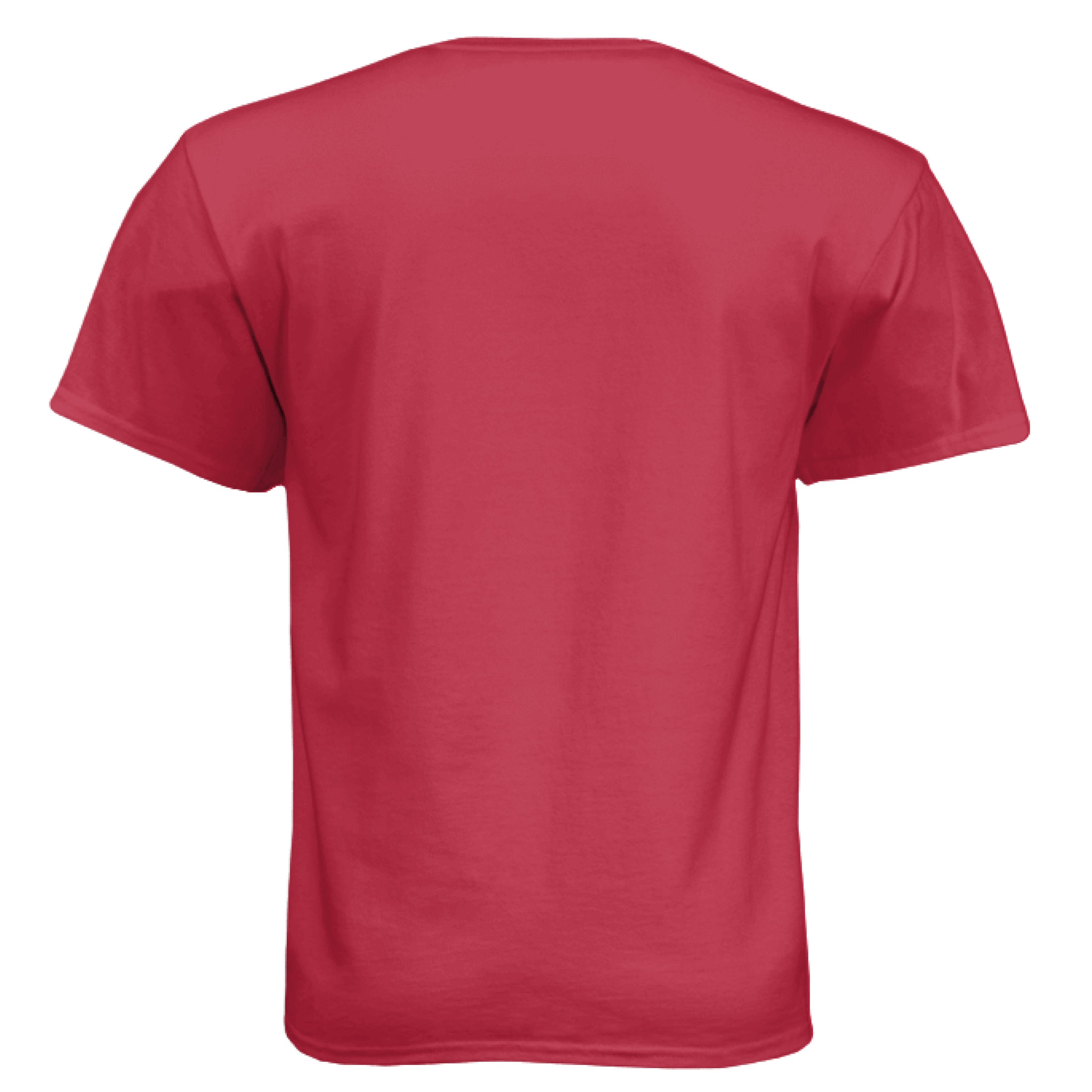 South_Carolina_Palmetto_Skull_Blue_Crescent_State_Outline
Athletic Red - BACK